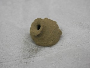 ヘッドライトケース内の珍しいもの