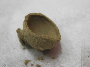 ヘッドライトケース内の珍しいもの