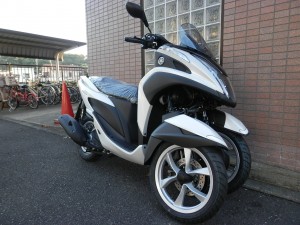 %e3%83%88%e3%83%aa%e3%82%b7%e3%83%86%e3%82%a3-13