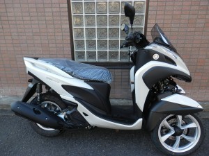 %e3%83%88%e3%83%aa%e3%82%b7%e3%83%86%e3%82%a3-12