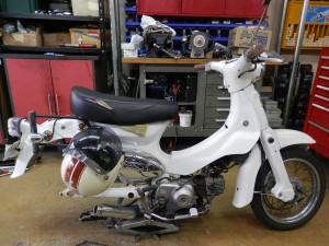 little_cub_puncture-1