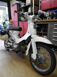 little_cub_puncture-11