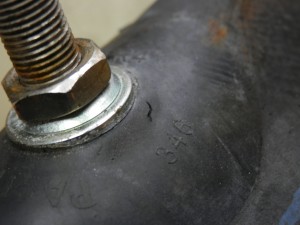 little_cub_puncture-5